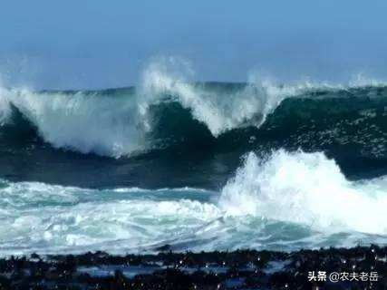 陕西桥梁垮塌已致12死31失联，陕西桥梁垮塌已致12死31失联1