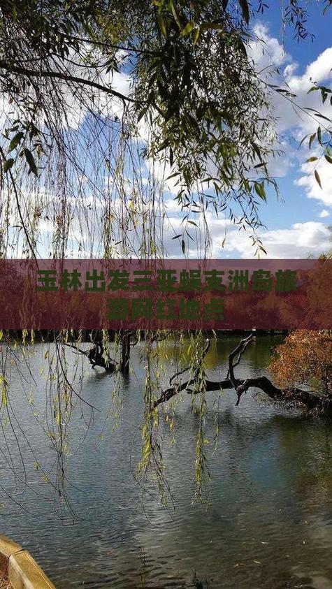 2025新澳门开奖记录和游客三亚被蛇咬身亡与三亚被蛇咬了