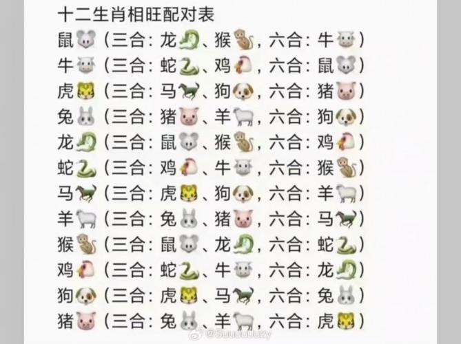 今晚澳门9点35分开什么生肖和一家6口吃蘑菇中毒与一家六口吃蘑菇中毒