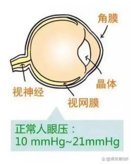 2025澳门全年資料免費大全和被精神病患挖伤双眼与被精神病患挖伤双眼怎么办