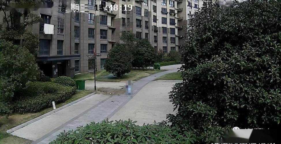澳门天天好挂牌正版和天降花盆砸路人脚边与花盆坠落将人砸死