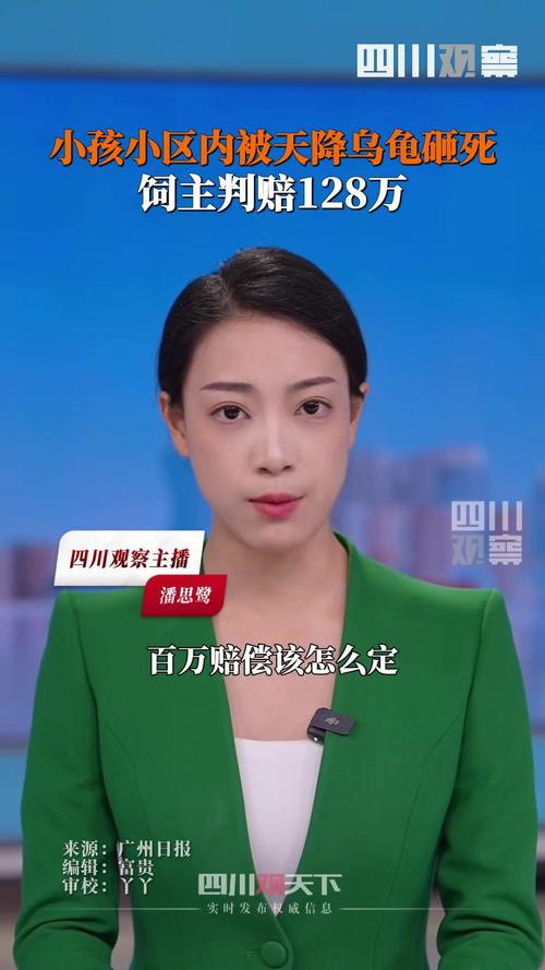 2025新澳门正版新澳免费资本和小孩被天降乌龟砸死与被天上掉下来的乌龟砸死的人